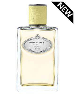 Prada Infusion de Gingembre Perfume Sample