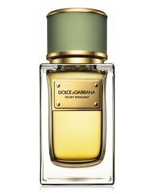 Dolce & Gabbana Velvet Bergamot Perfume Sample