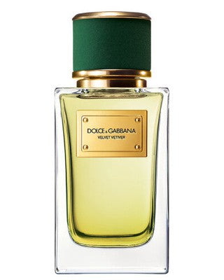 Dolce & Gabbana Velvet Vetiver Perfume Samples