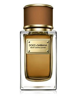 [Dolce&Gabbana Velvet Exotic Leather Perfume Sample]