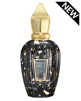 Xerjoff Homme Anniversary Perfume Sample