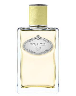 Prada Infusion de Gingembre Perfume Sample
