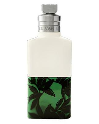 Dries Van Noten Santal Greenery Perfume Sample