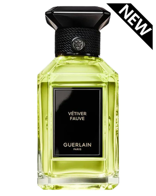 Vetiver Fauve