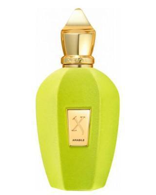 Amabile by Xerjoff Perfume Sample