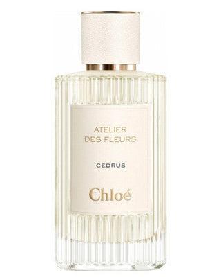Chloe-Cedrus-Perfume-Sample