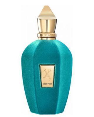 Erba Pura by Xerjoff Perfume Sample