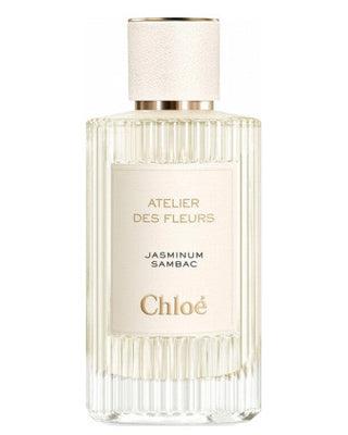 Chloe jasminum sambac Clearance
