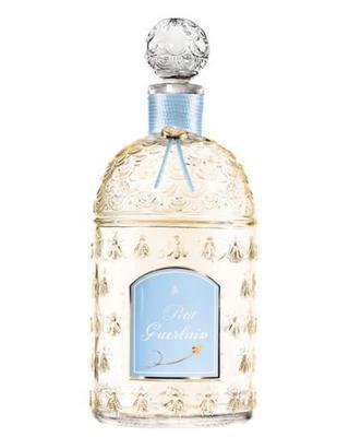 Guerlain Petit Guerlain Blue Perfume Samples