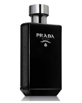 Prada L'Homme Intense Perfume Samples Decants FragrancesLine