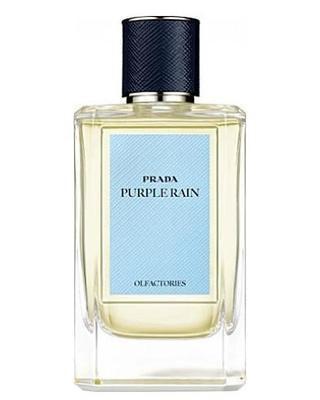 Prada Purple Rain Sample