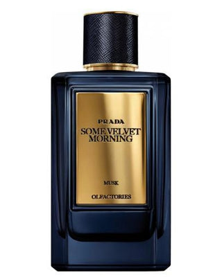 Prada babylon sandalwood on sale