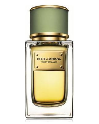 [Dolce&Gabbana Velvet Bergamot Perfume Sample]