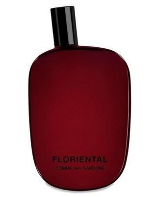 Comme des Garcons Perfume Samples & Decants Online | Fragrances 